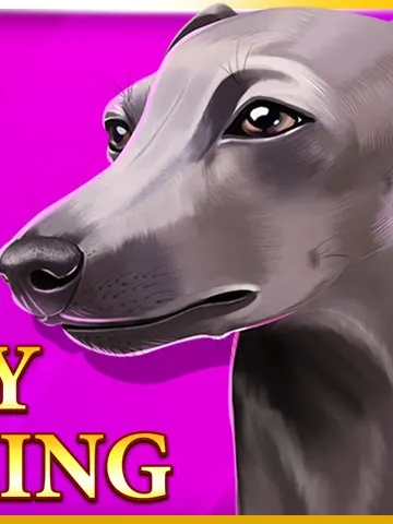 Iggy Racing